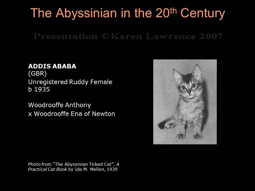 Slide40