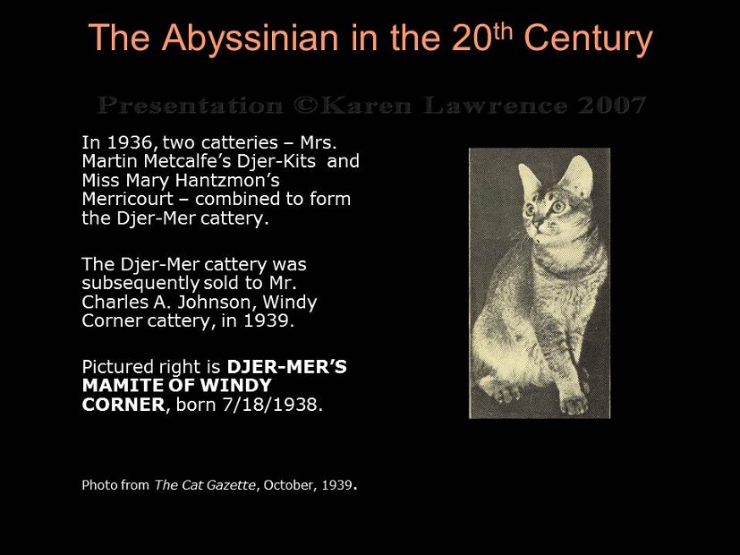 Slide42
