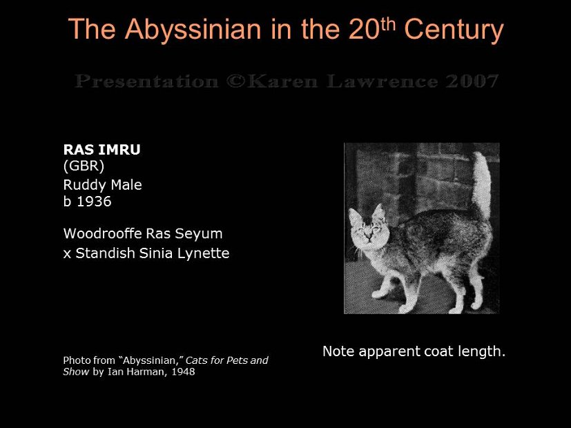 Slide43