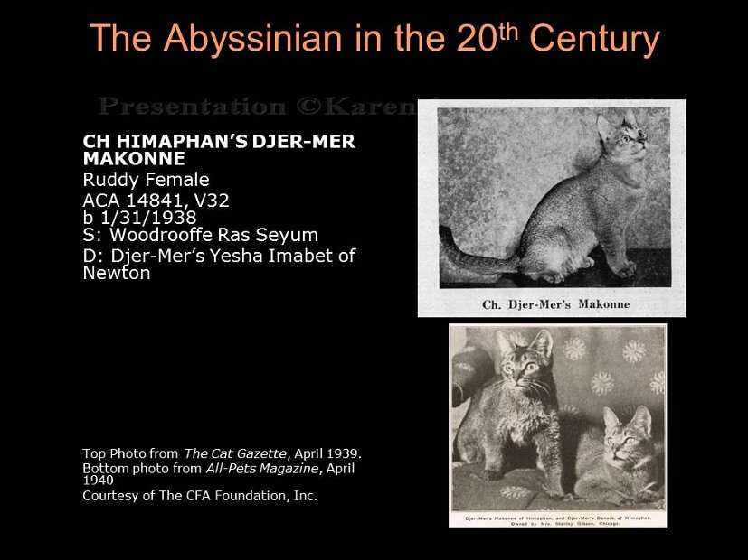 Slide46