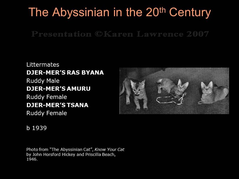 Slide48