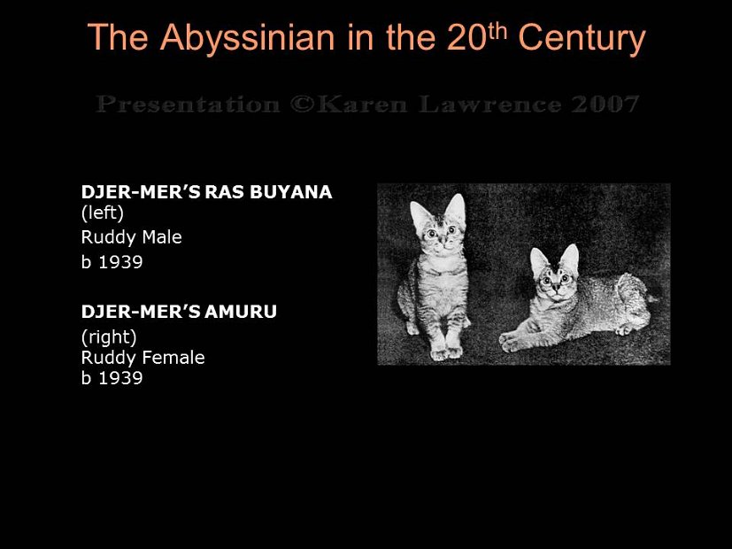 Slide49
