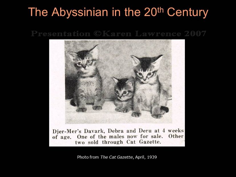 Slide50