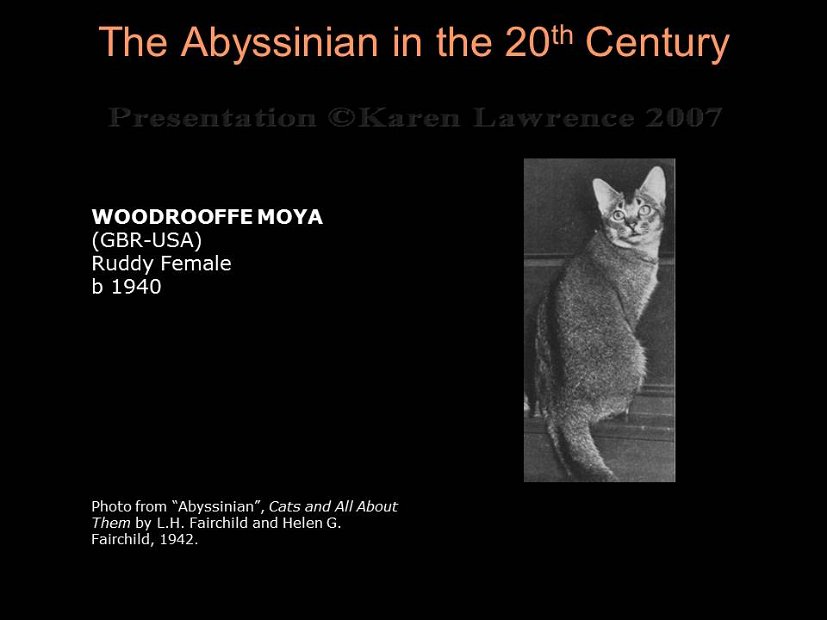 Slide54