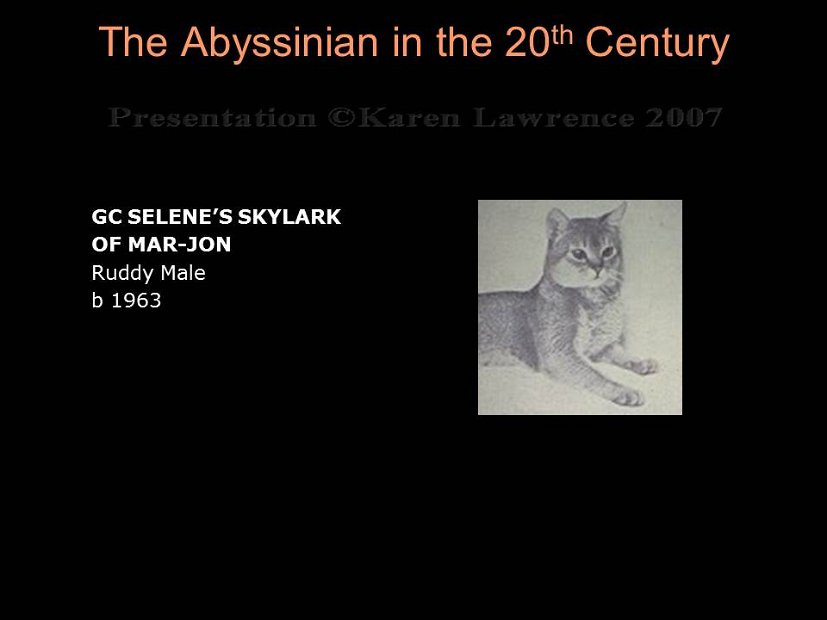 Slide141