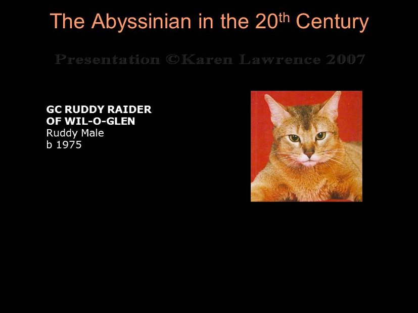 Slide229