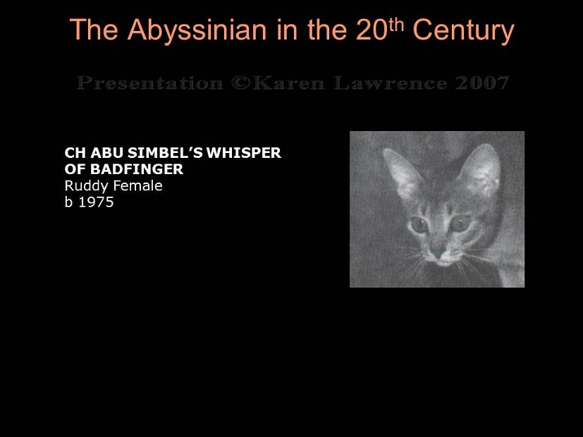 Slide230
