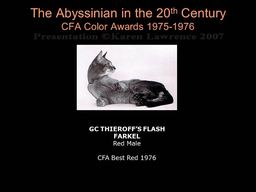 Slide234