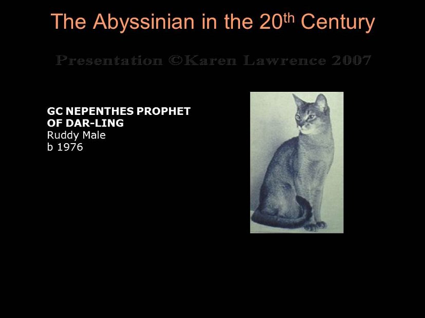 Slide235