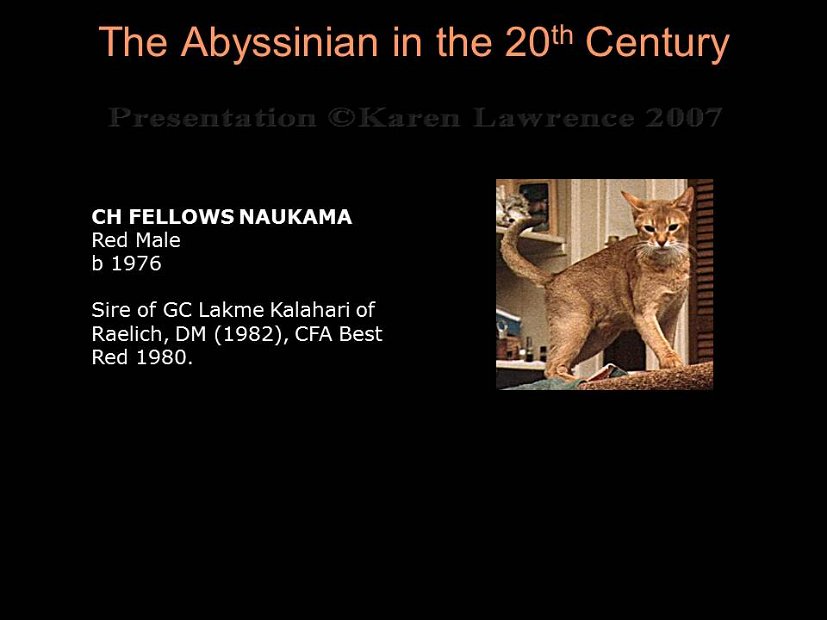Slide238