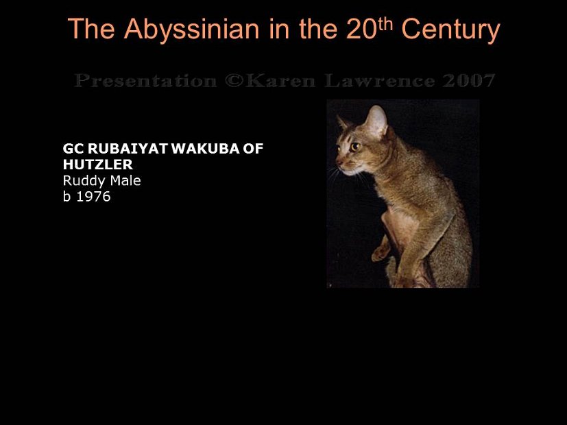Slide239