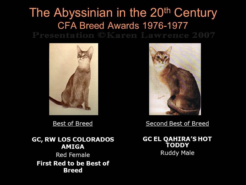 Slide241