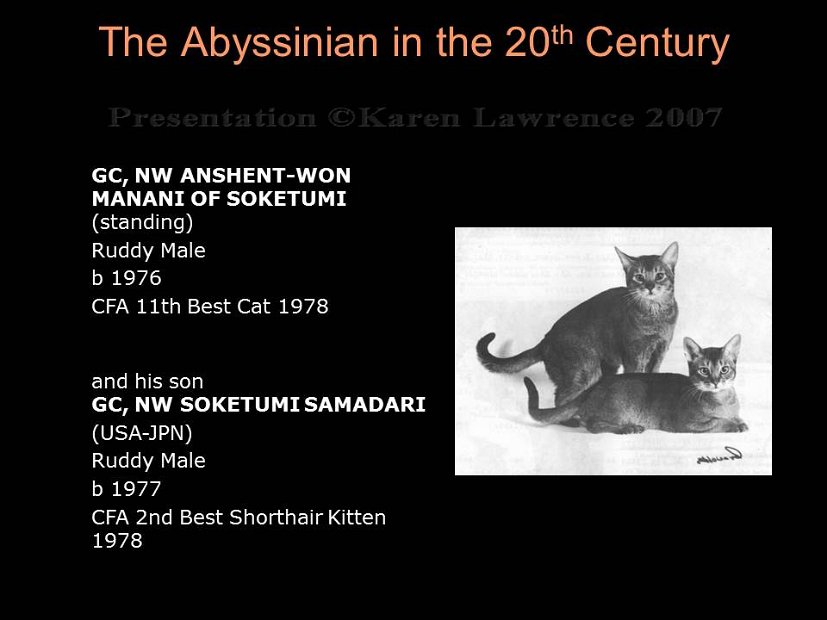 Slide243