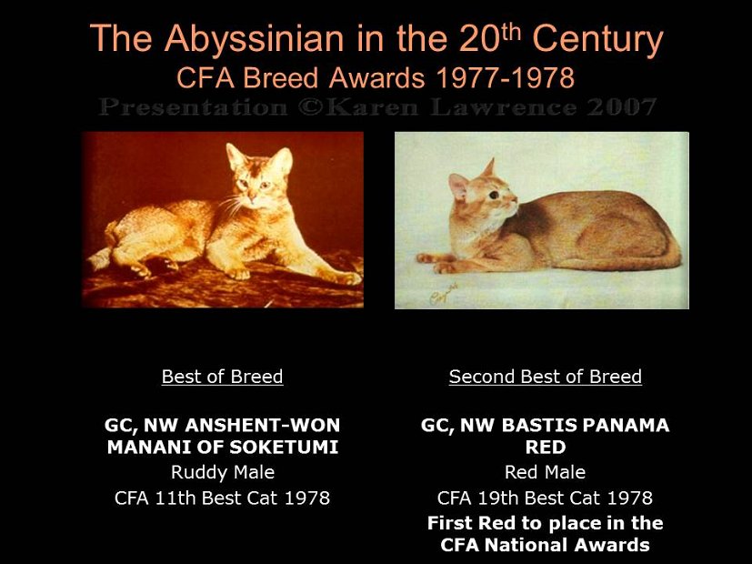 Slide244