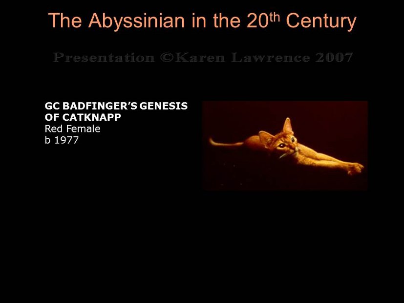 Slide246