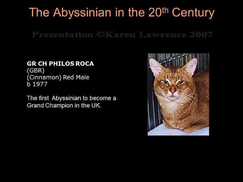 Slide249