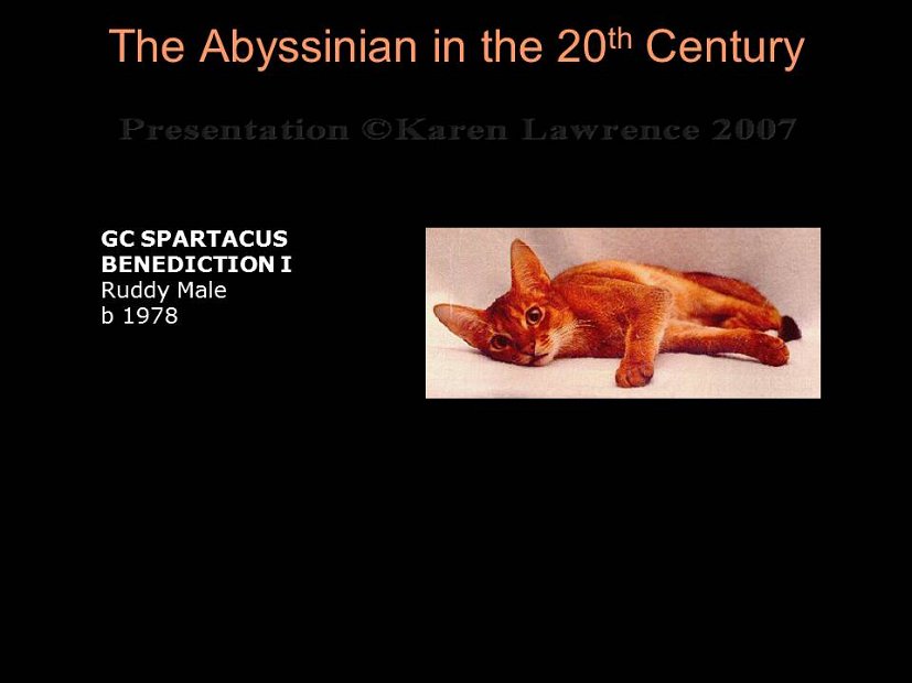 Slide250