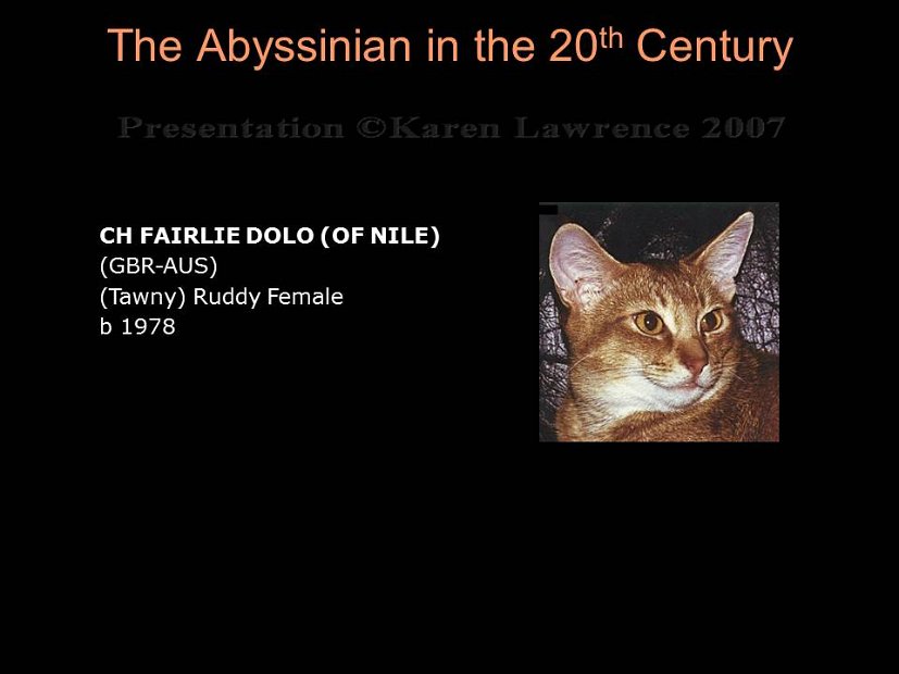 Slide251