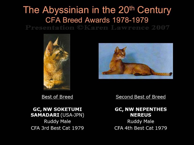 Slide254
