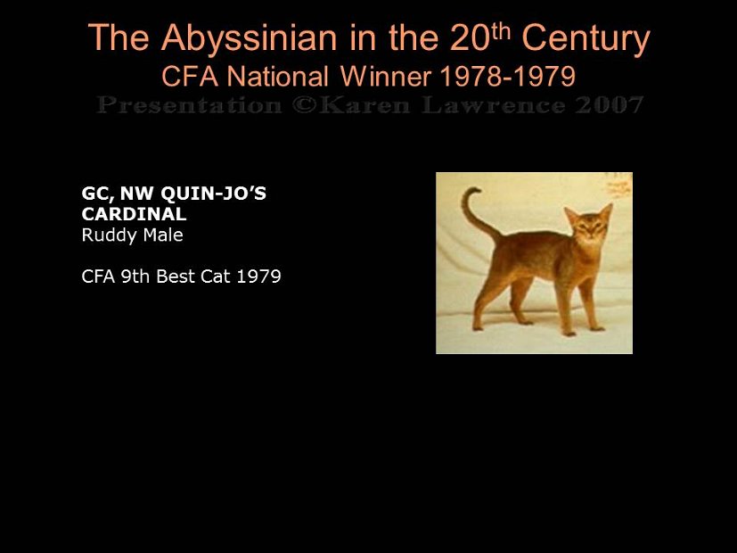 Slide255