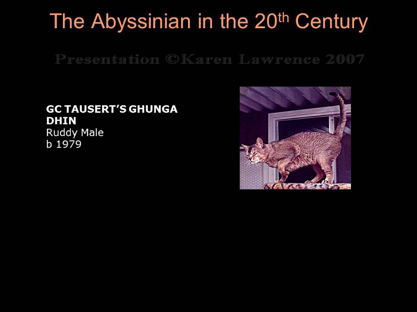 Slide257