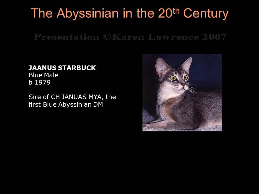 Slide258