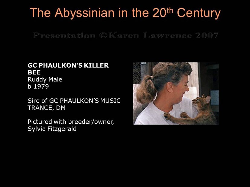 Slide259