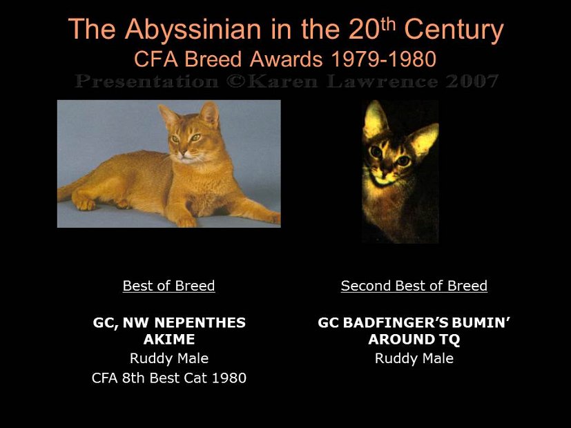 Slide261