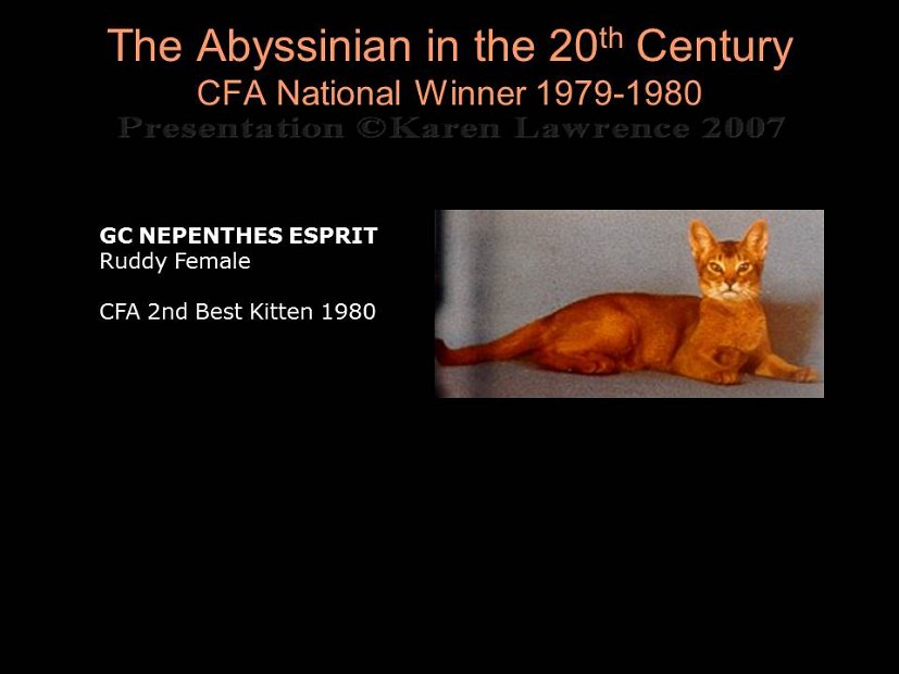 Slide262