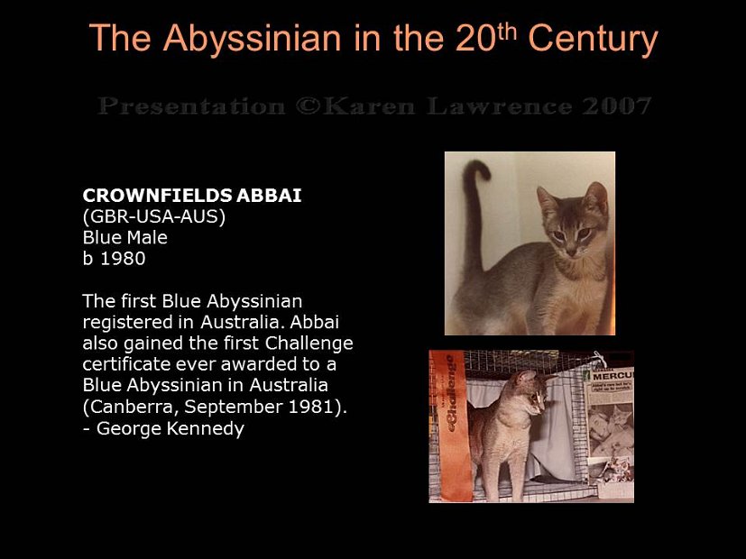 Slide265