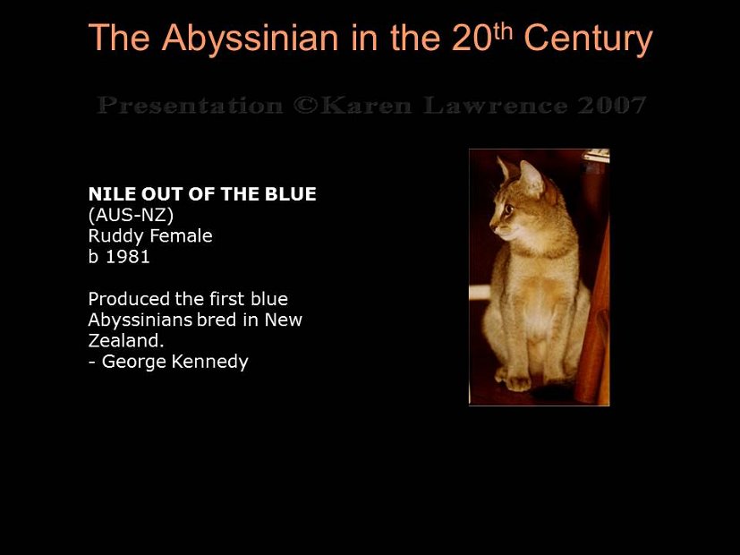 Slide275