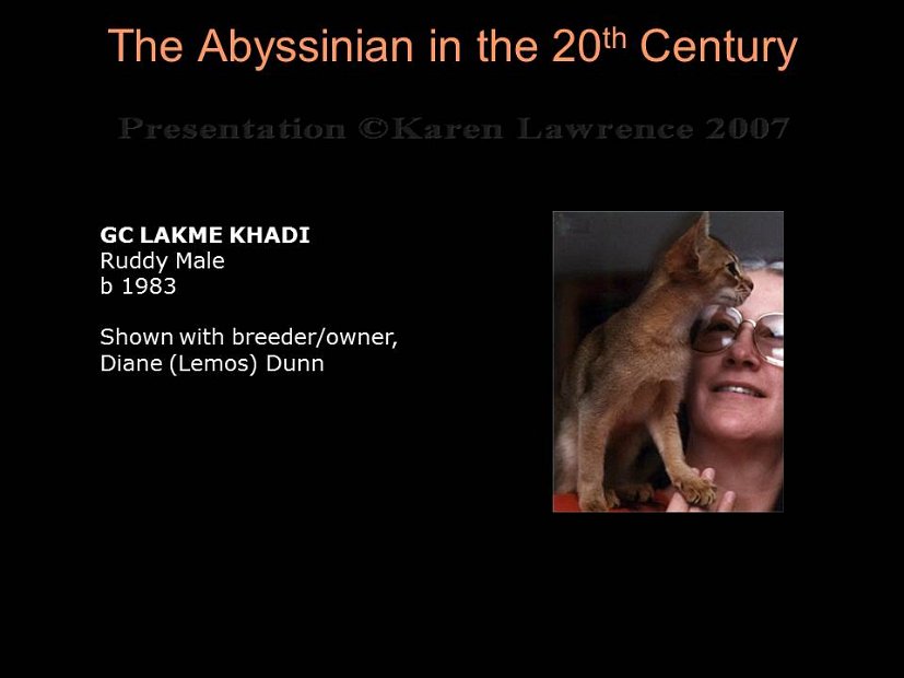 Slide287
