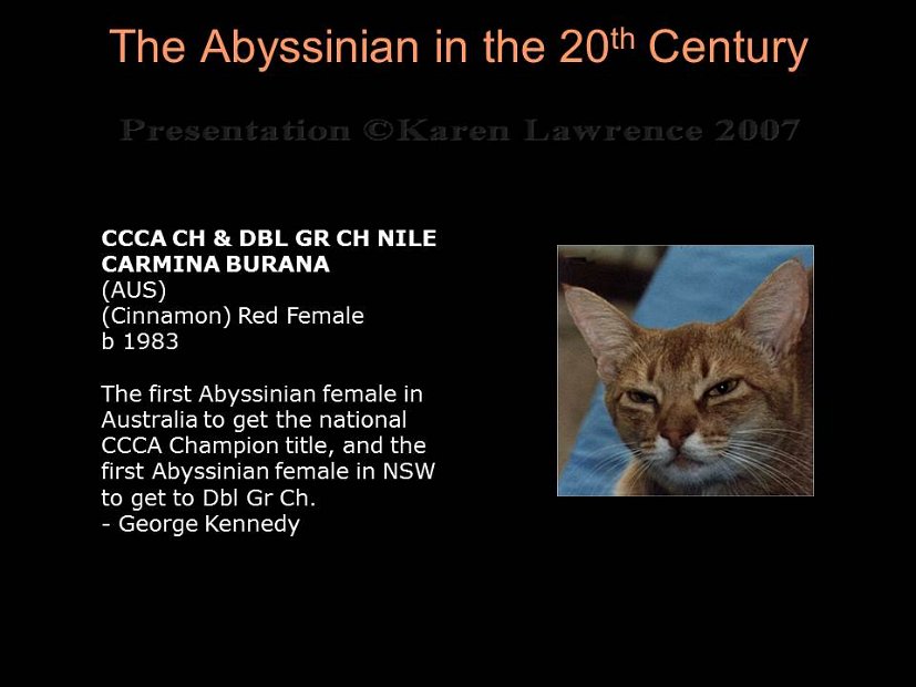 Slide288