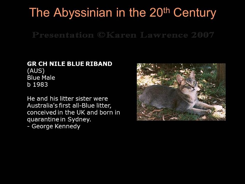 Slide289