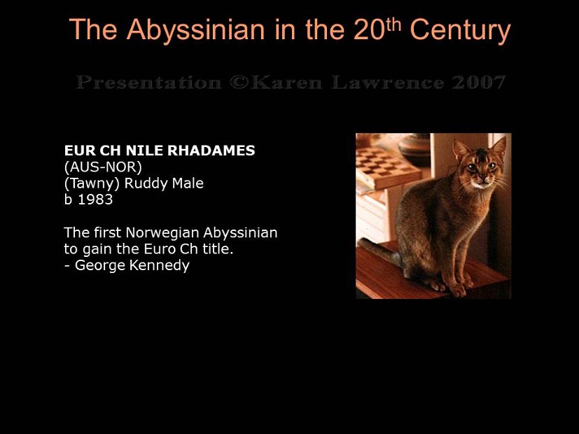 Slide290