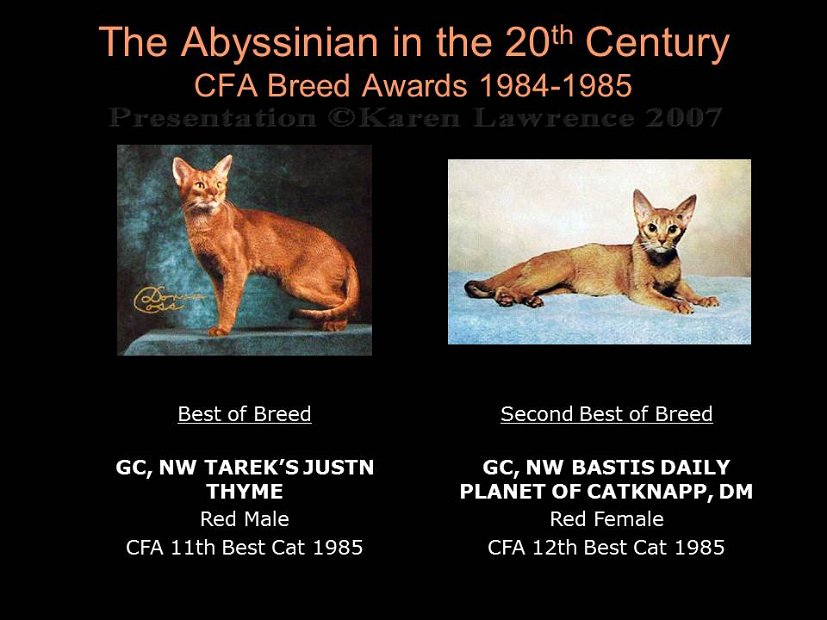 Slide291
