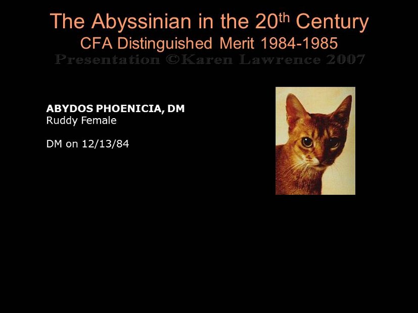 Slide292