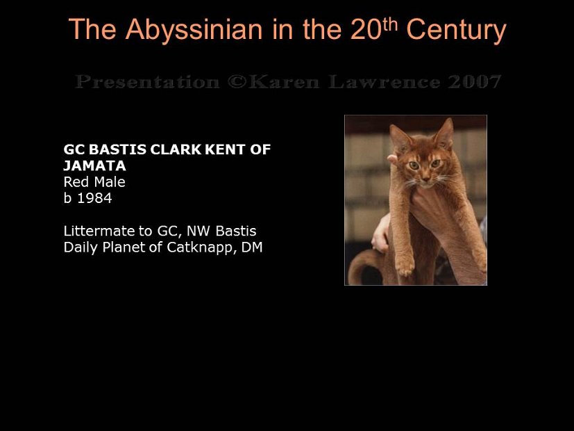 Slide295