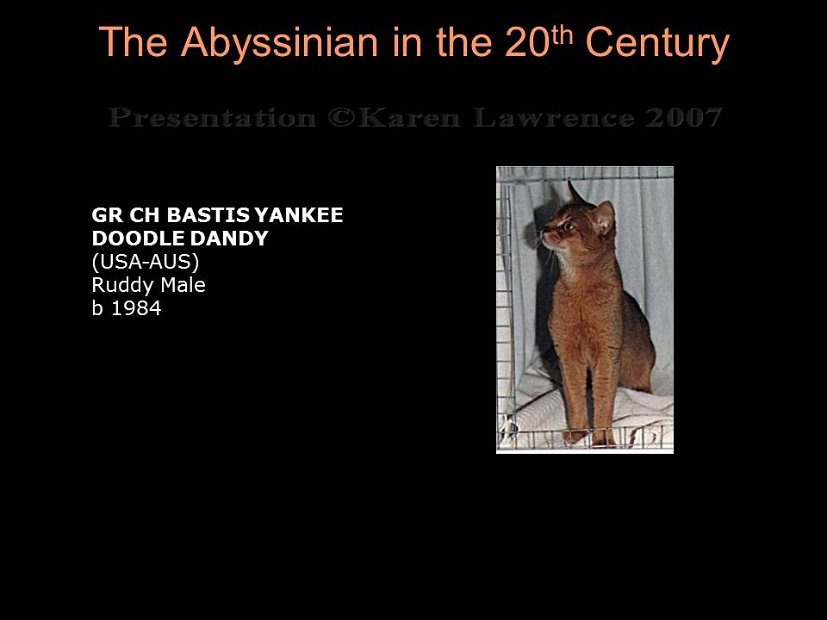 Slide296