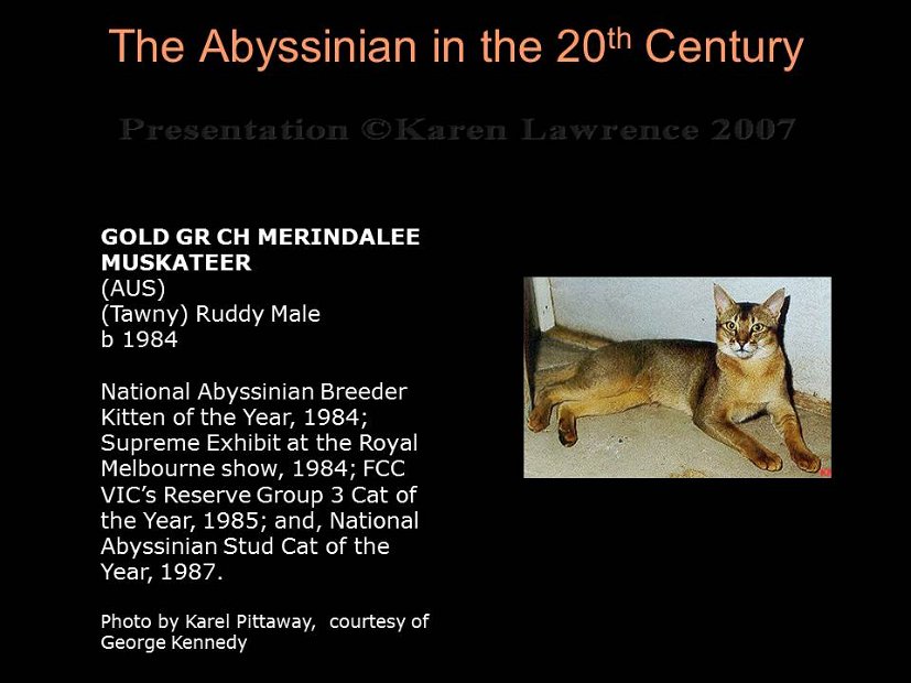 Slide298