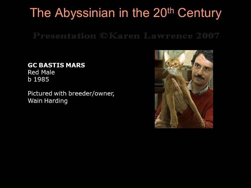 Slide299