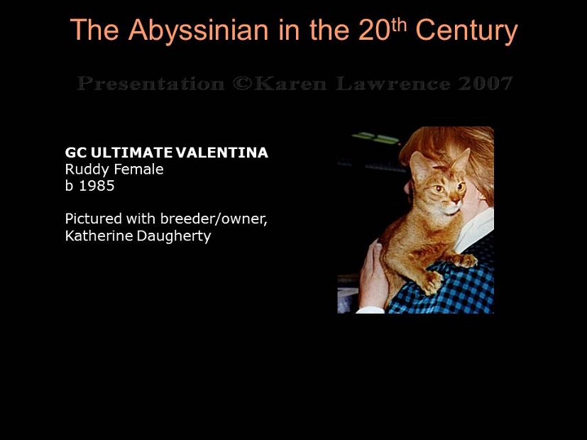 Slide301