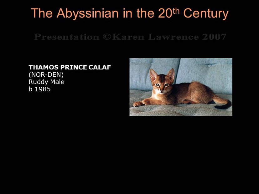 Slide302