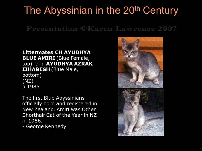 Slide304
