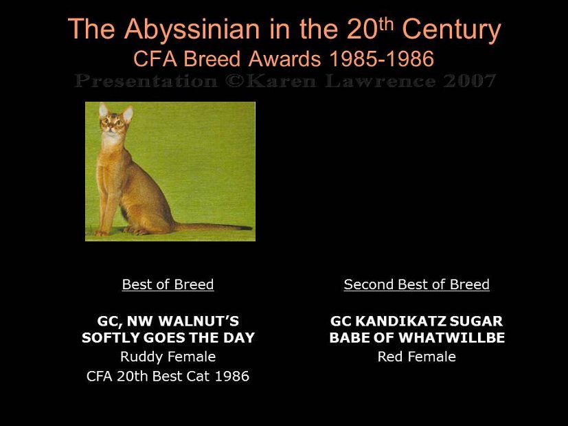 Slide305
