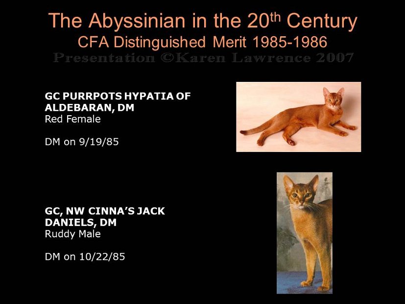 Slide306