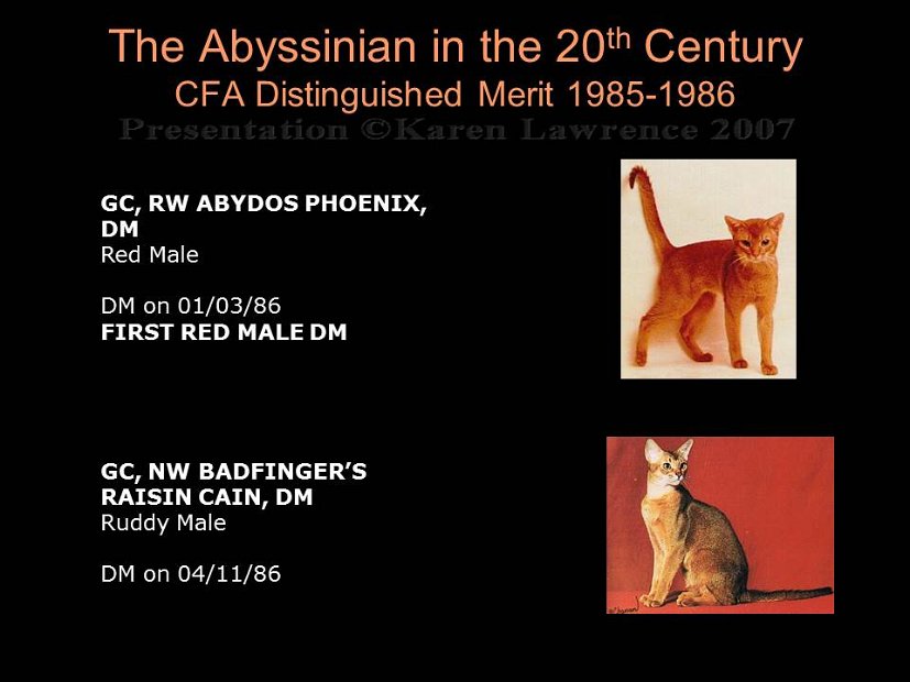 Slide307