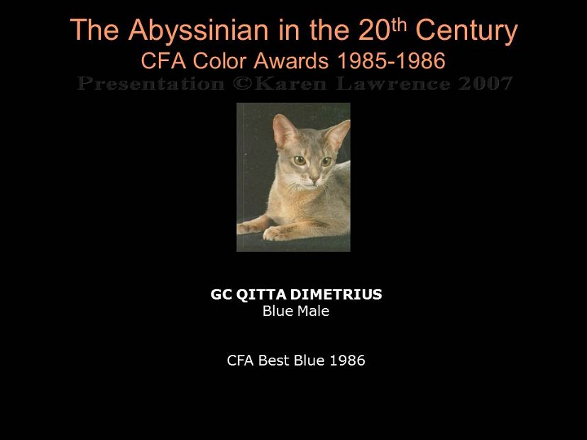 Slide310