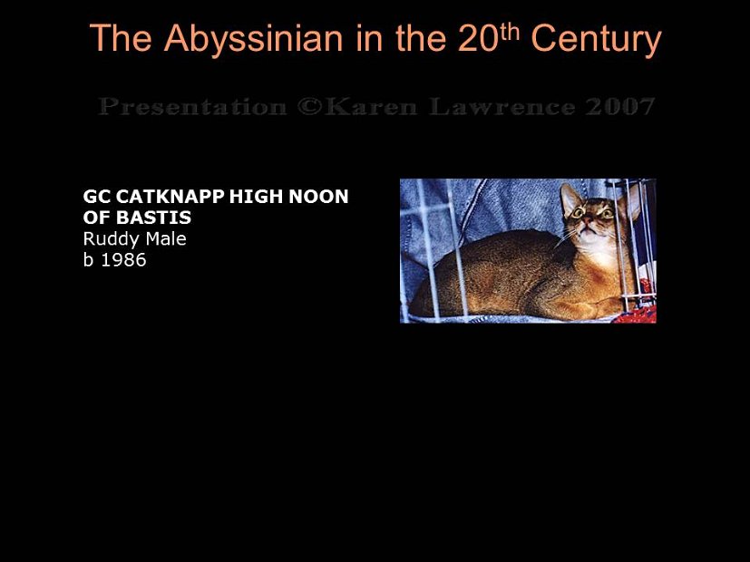 Slide311