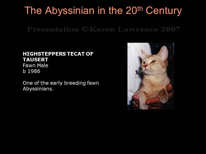 Slide313